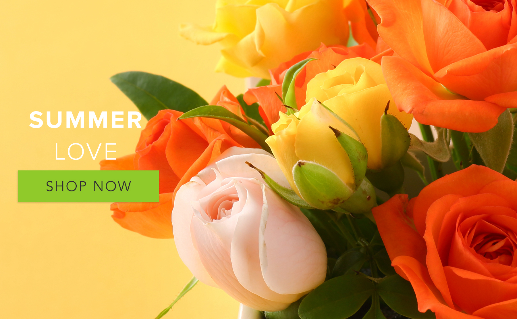 Olive Branch Florist | Flower Delivery by The Yellow Rose Florist
