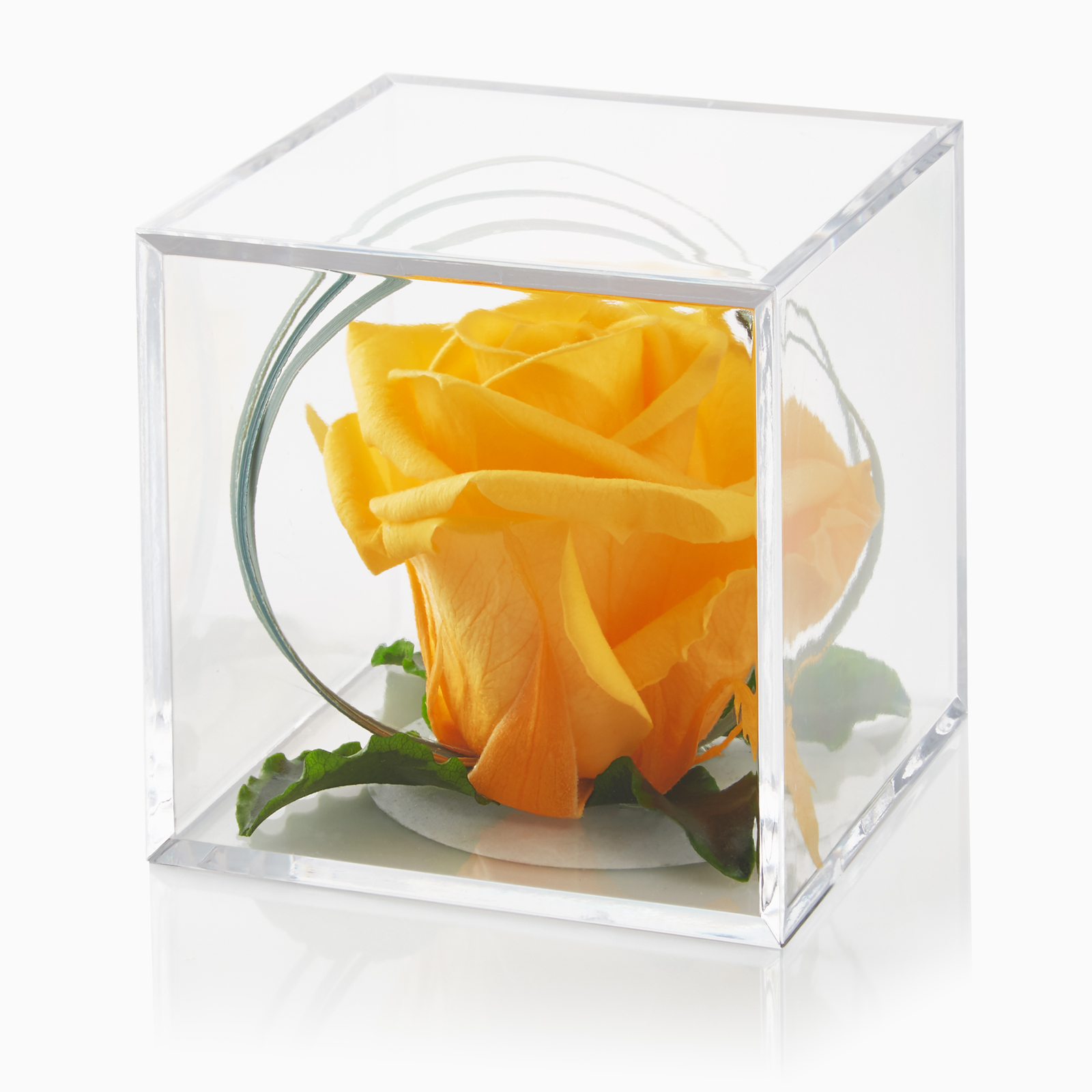 Timeless yellow preserved rose cube | Petals & Roses