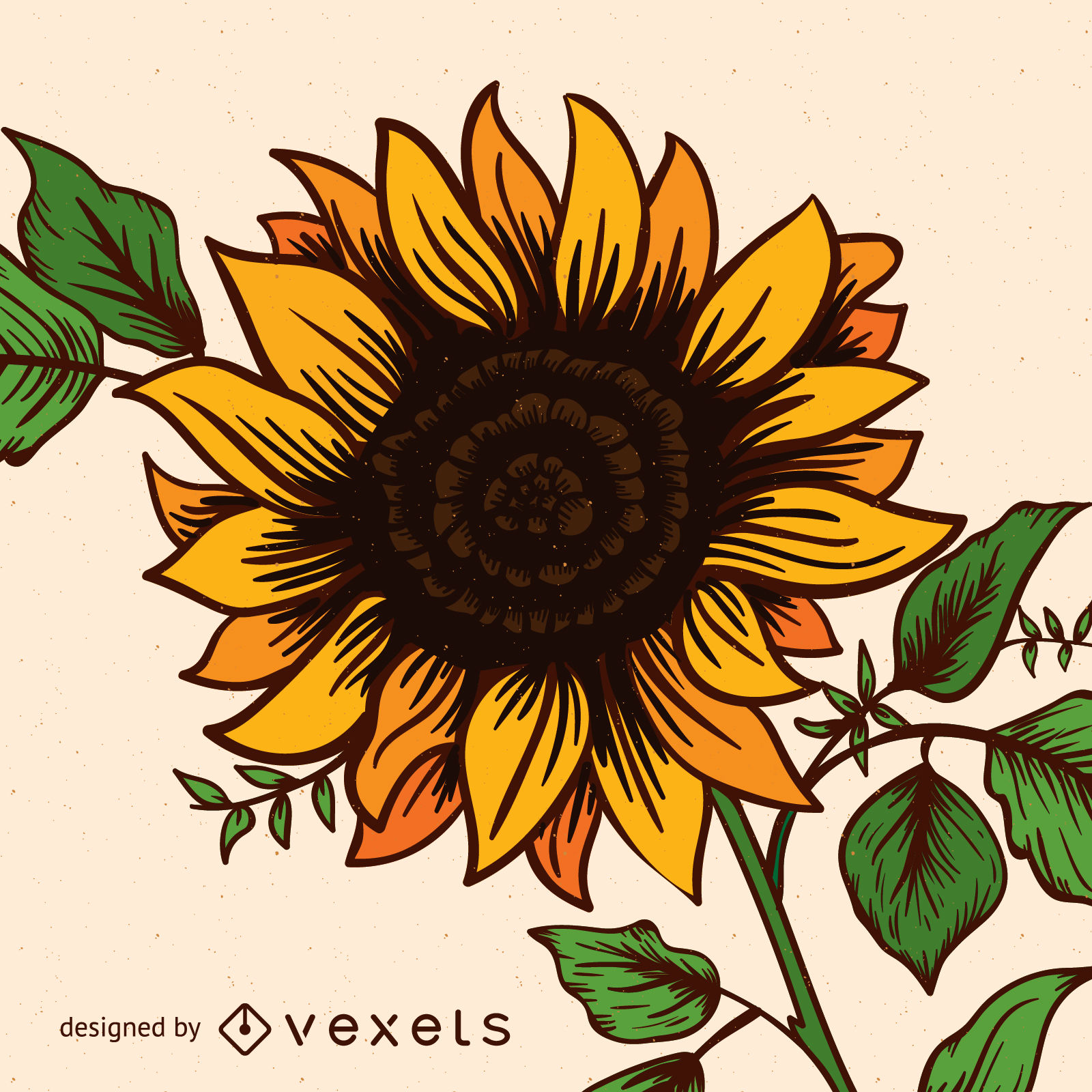 Sunflower Vector & Graphics to Download