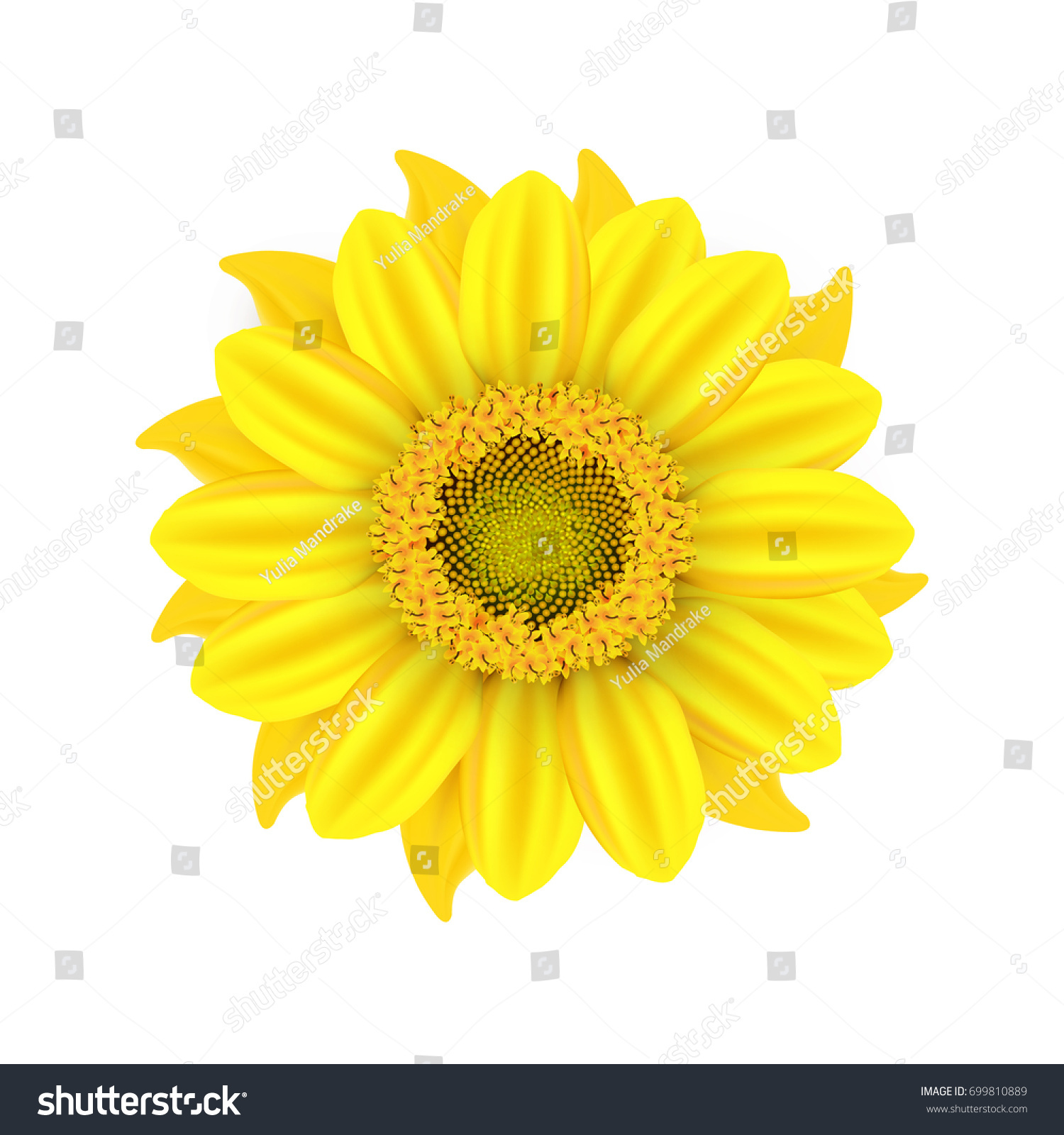 Vector Autumn Illustration Yellow Sunflower On Stock Vector ...