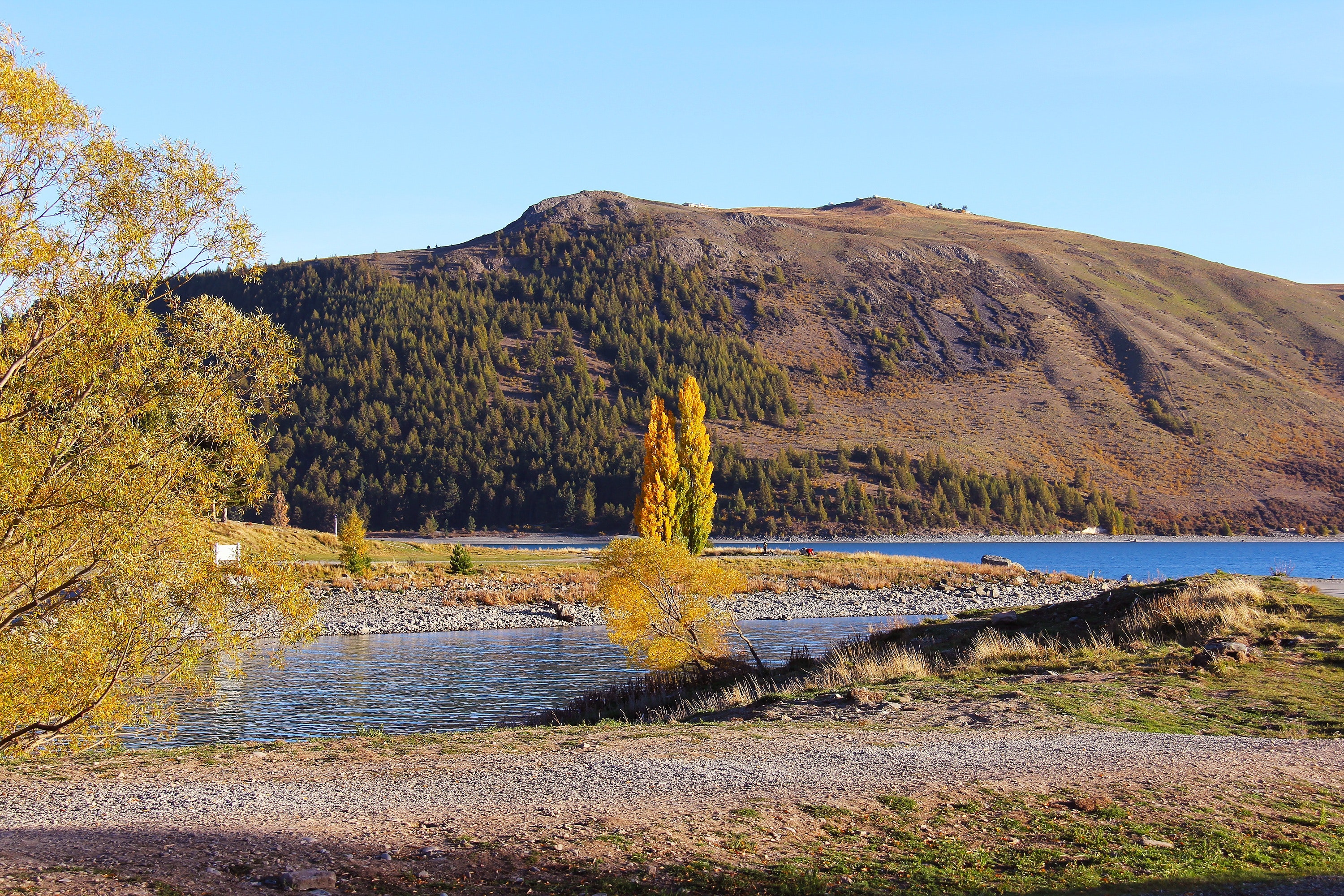 Yellow Tree on Lake With Brown Mountain Background Photo, Amazing, Outdoors, Water, Valley, HQ Photo
