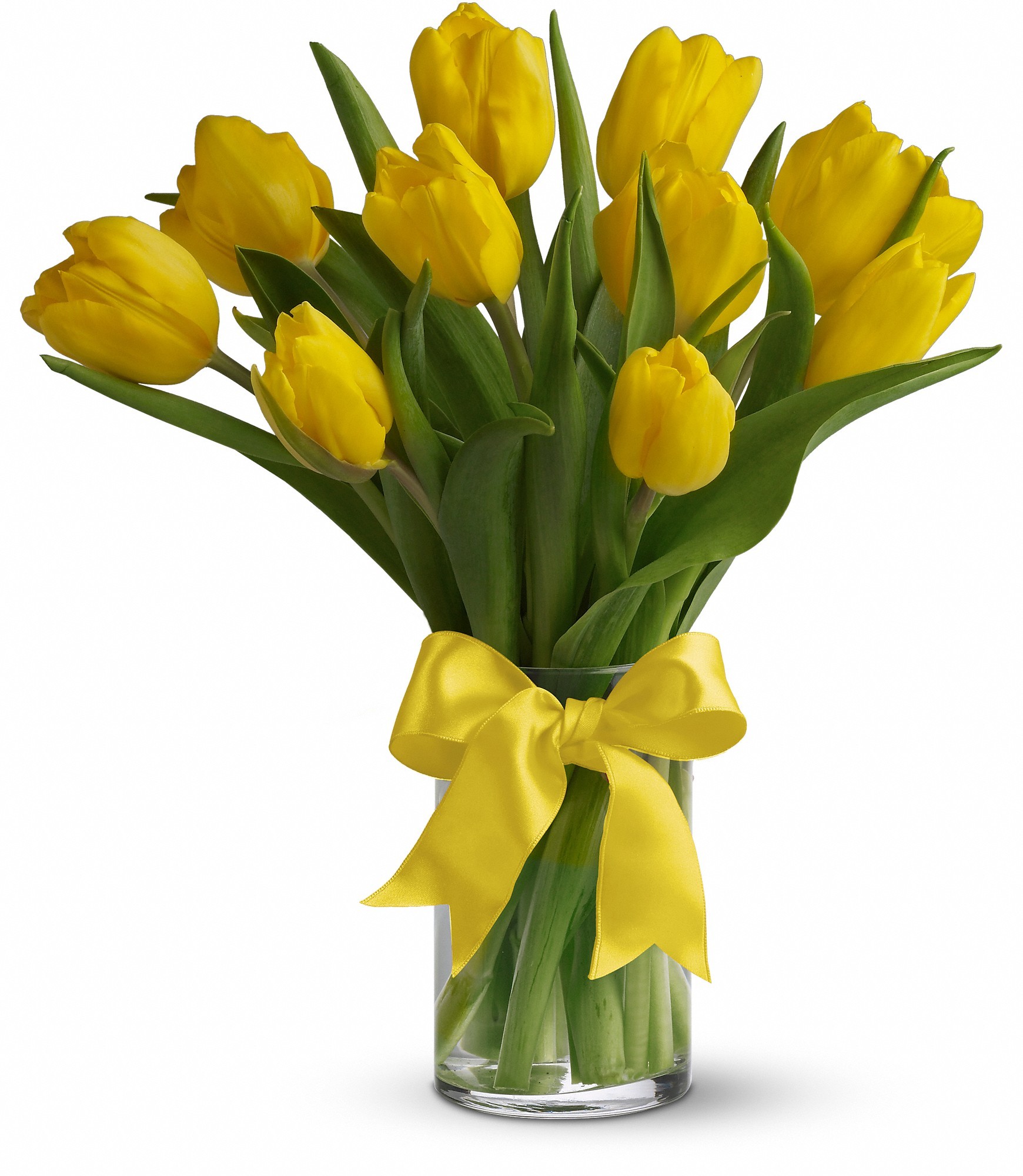 Sunny Yellow Tulips in Jackson Heights, NY | Ultima Florals