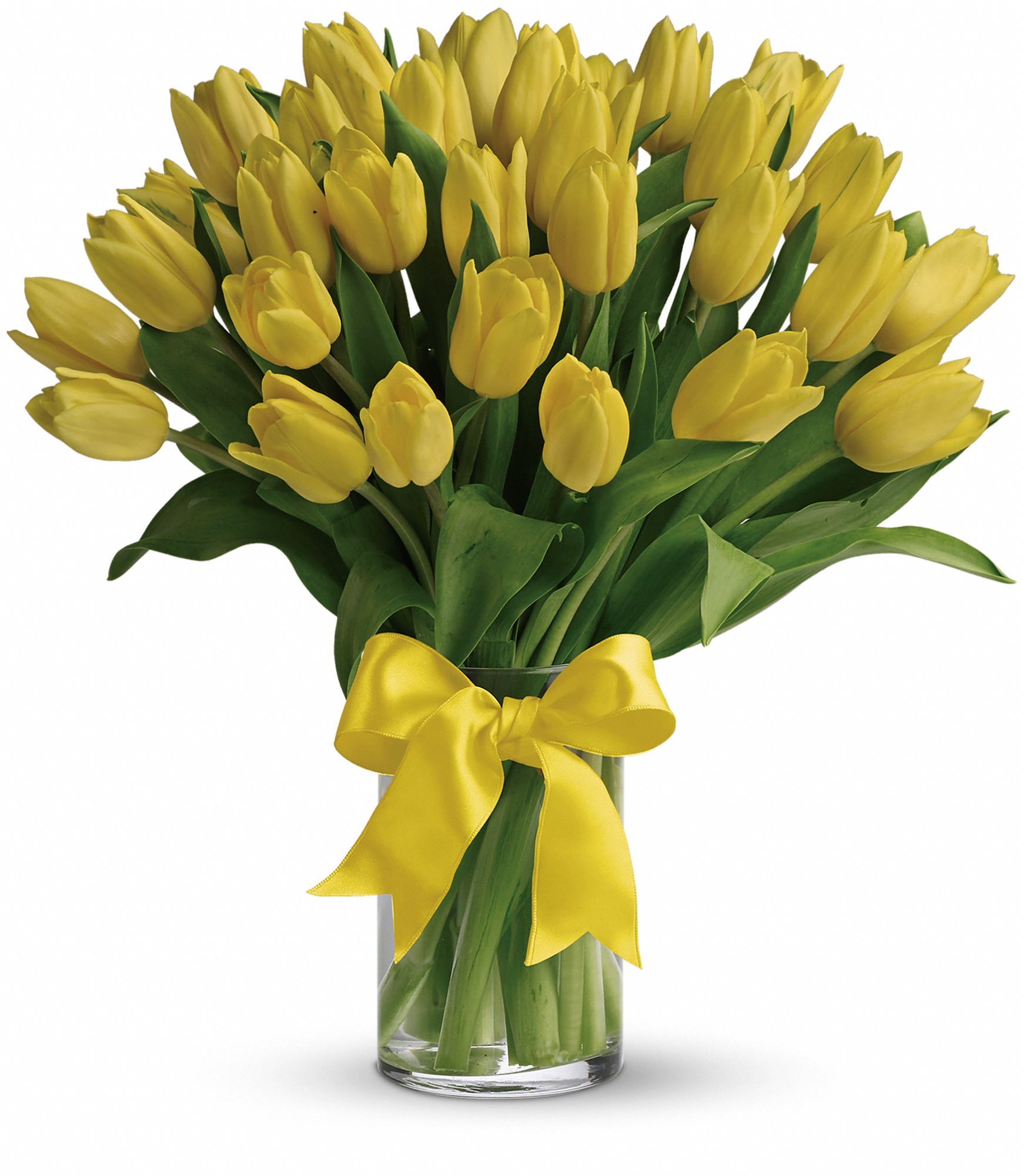 Sunny Yellow Tulips in Norwalk, CT | Studio 9 Flowers