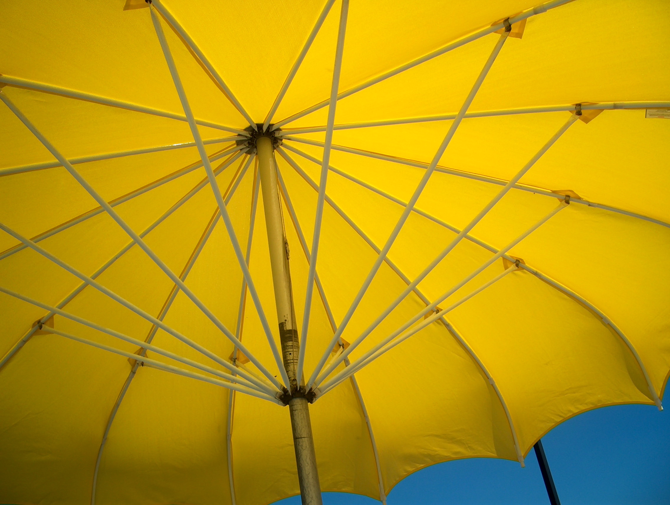 File:Yellow umbrella.jpg - Wikimedia Commons