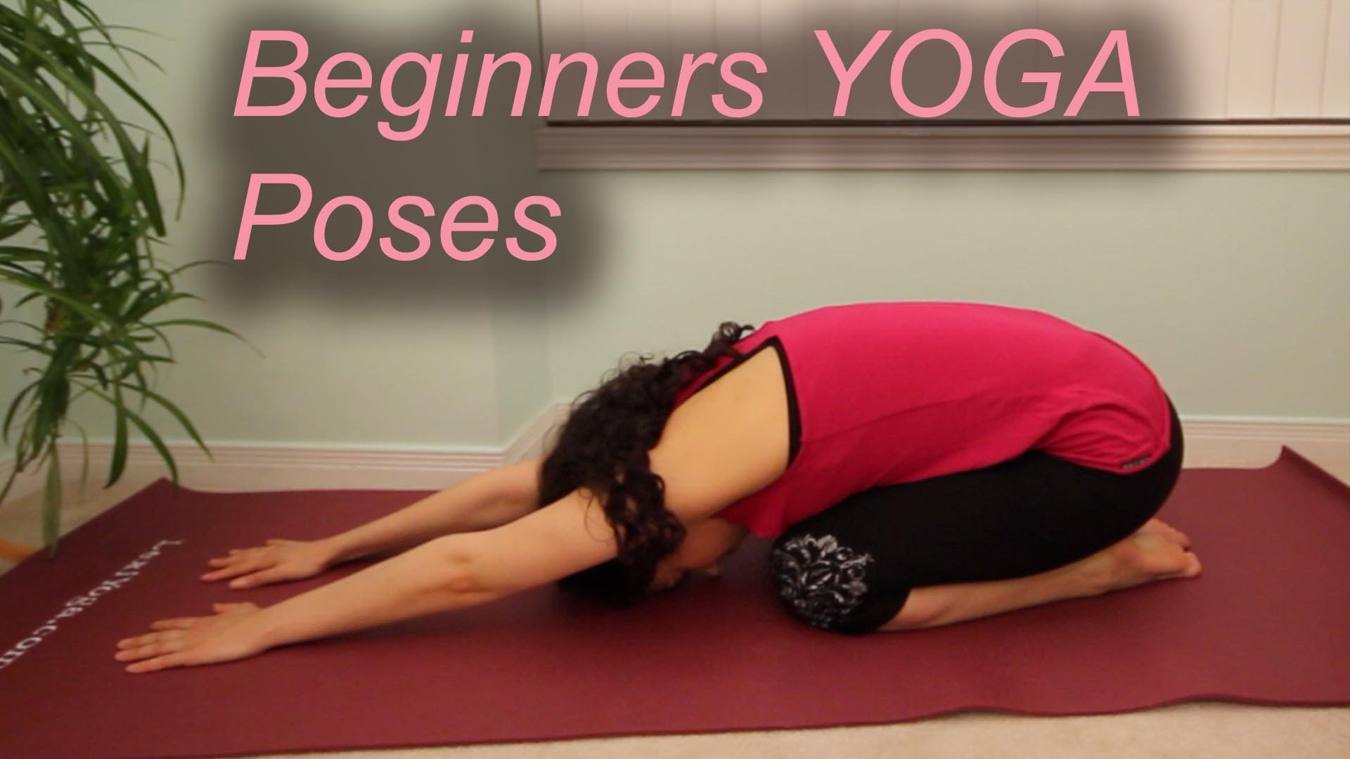 Beginners Yoga Poses - YouTube
