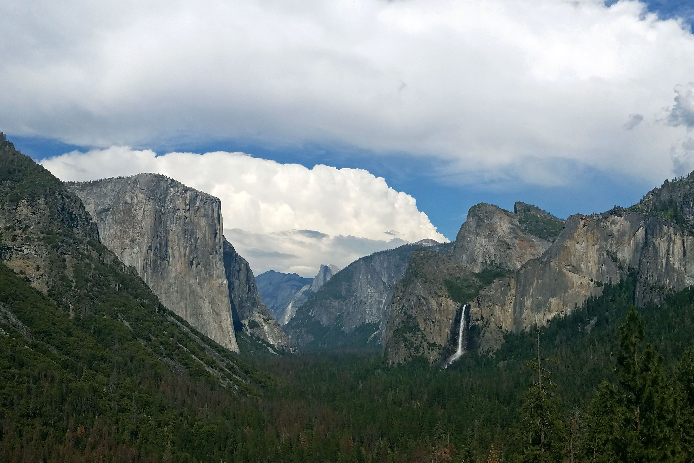Yosemite Valley - Yosemite National Park (U.S. National Park Service)