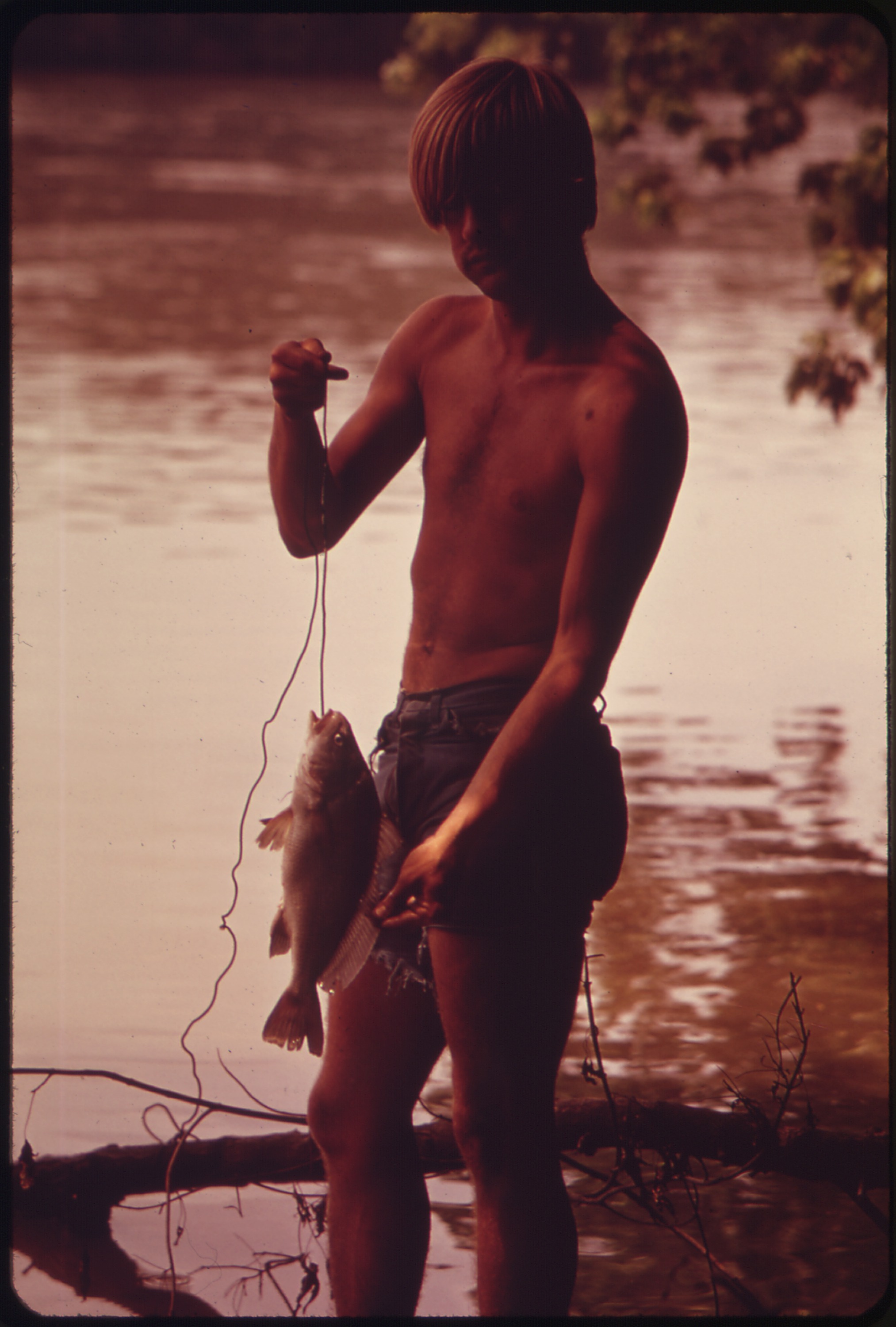 File:A YOUNG FISHERMAN SHOWS OFF THE LARGE PERCH HE CAUGHT IN THE ...