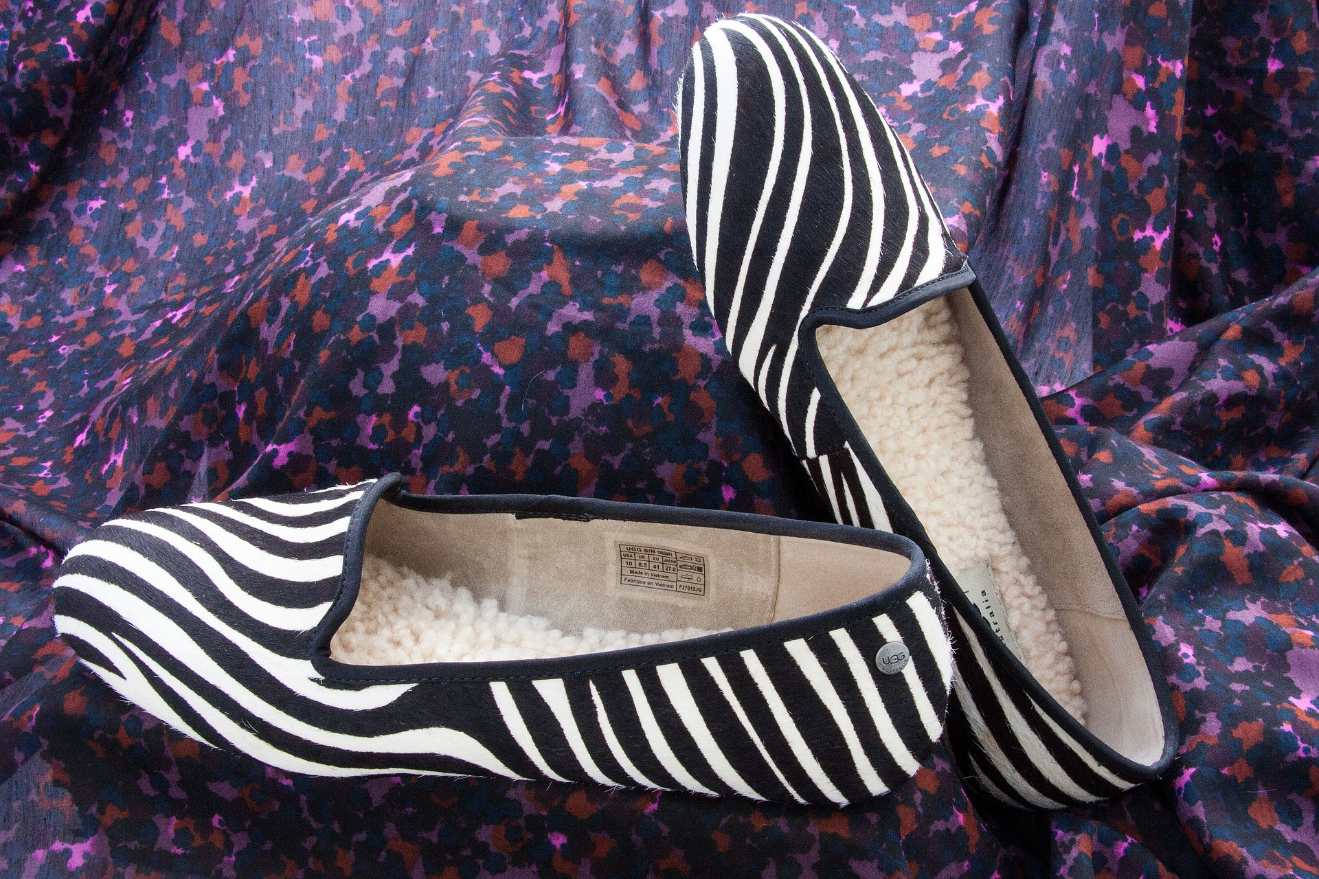 Zebra shoes photo