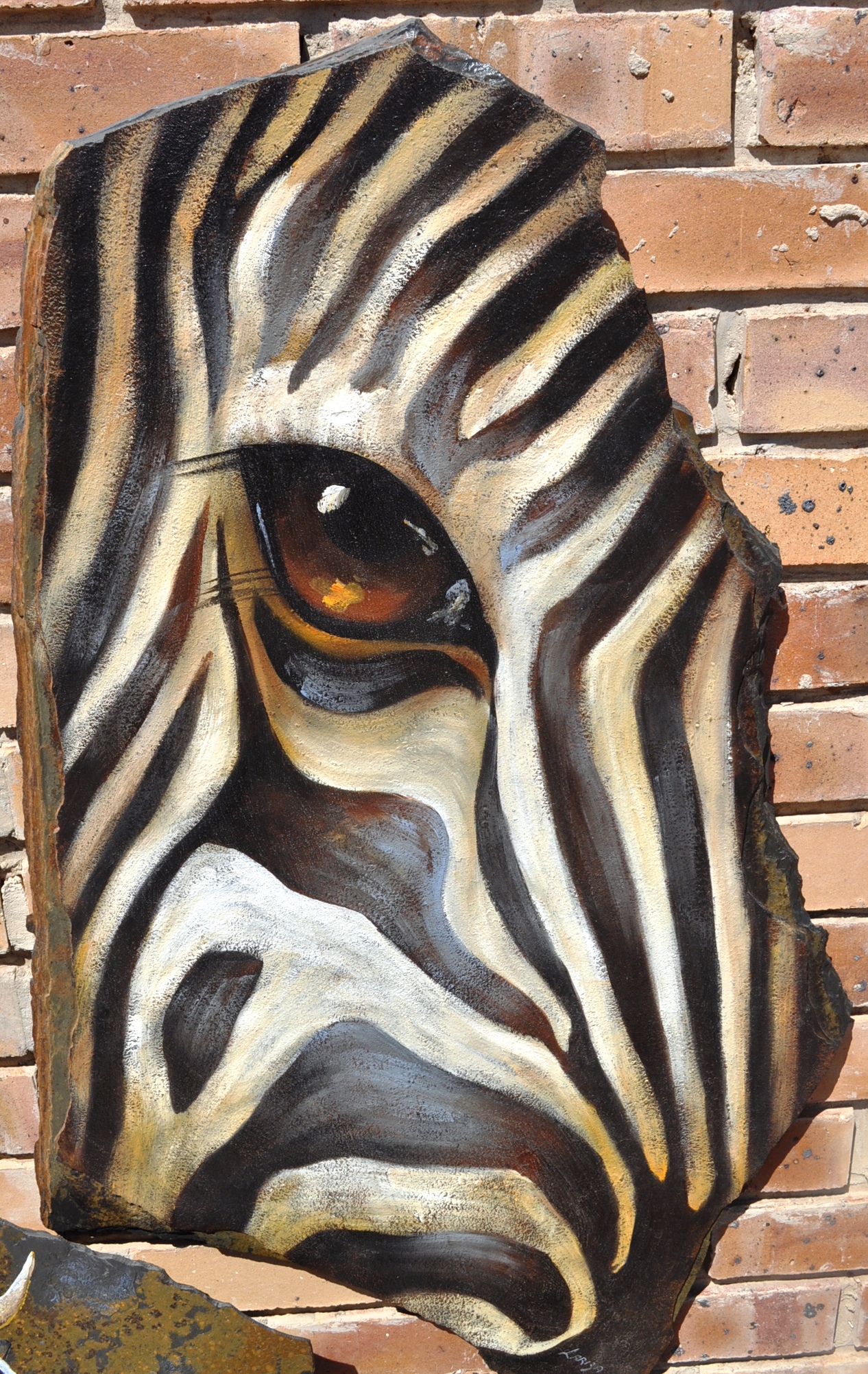 Zebra's eye photo