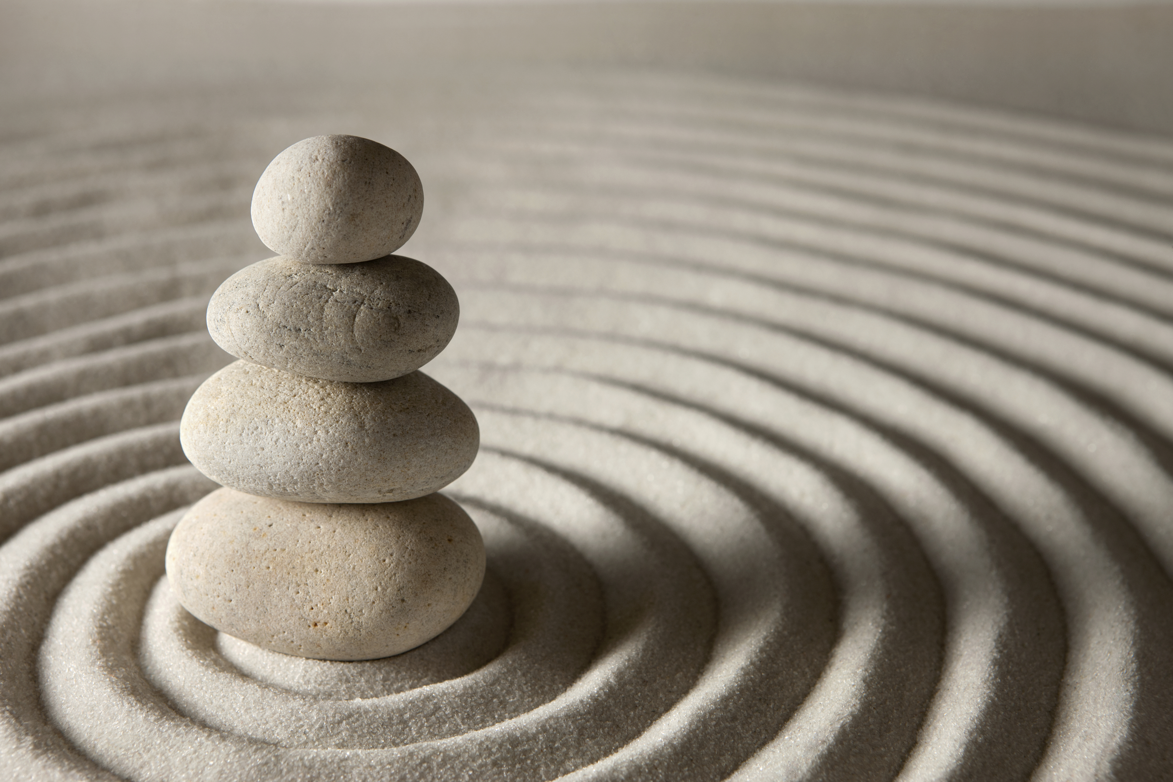 Finding the “Zen State” for the Modern CPO: Part 2 - E-Sourcing Forum