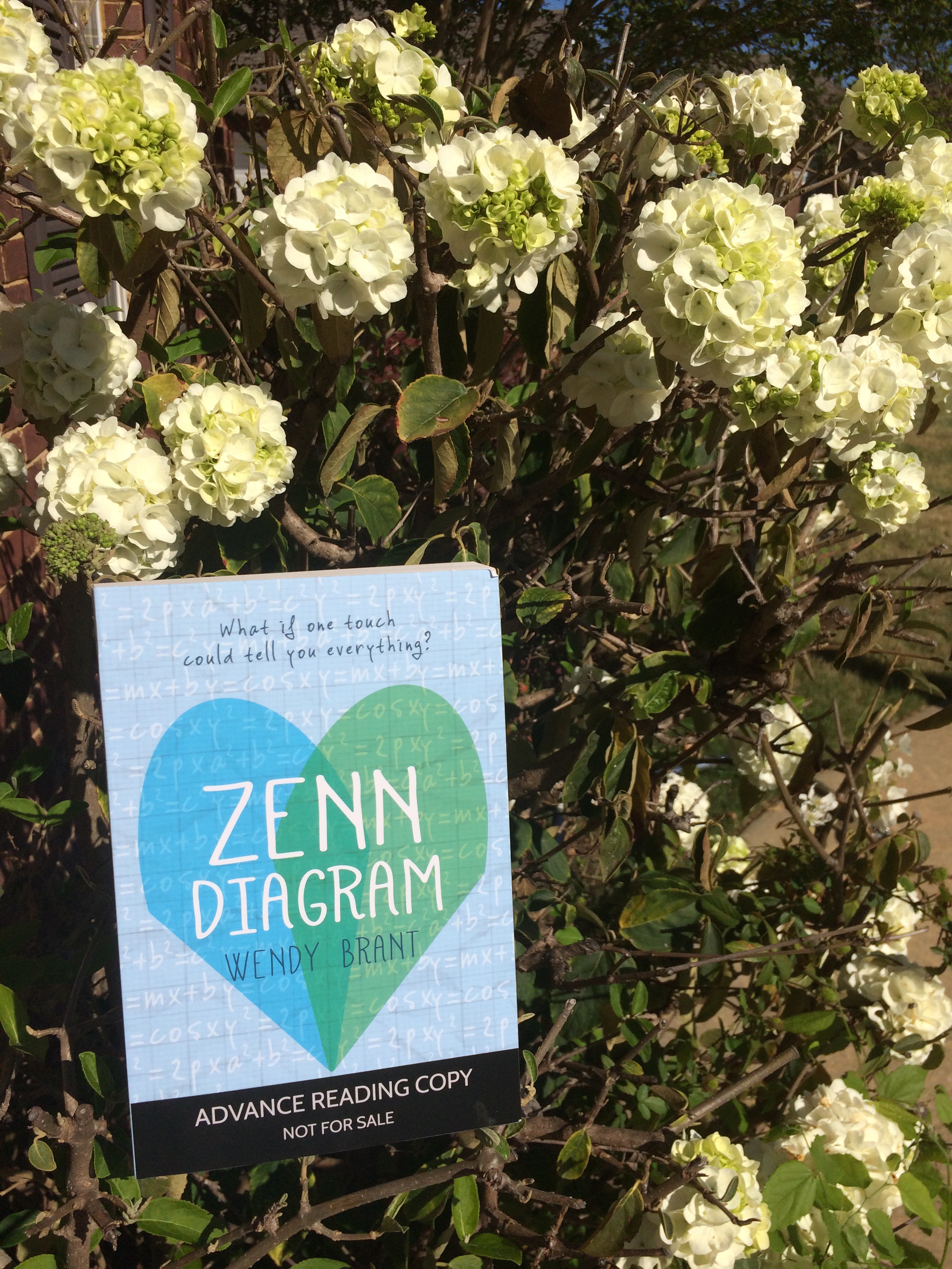 Zenn Diagram Review – Buddy Read with Charlotte @ charannelise – How ...