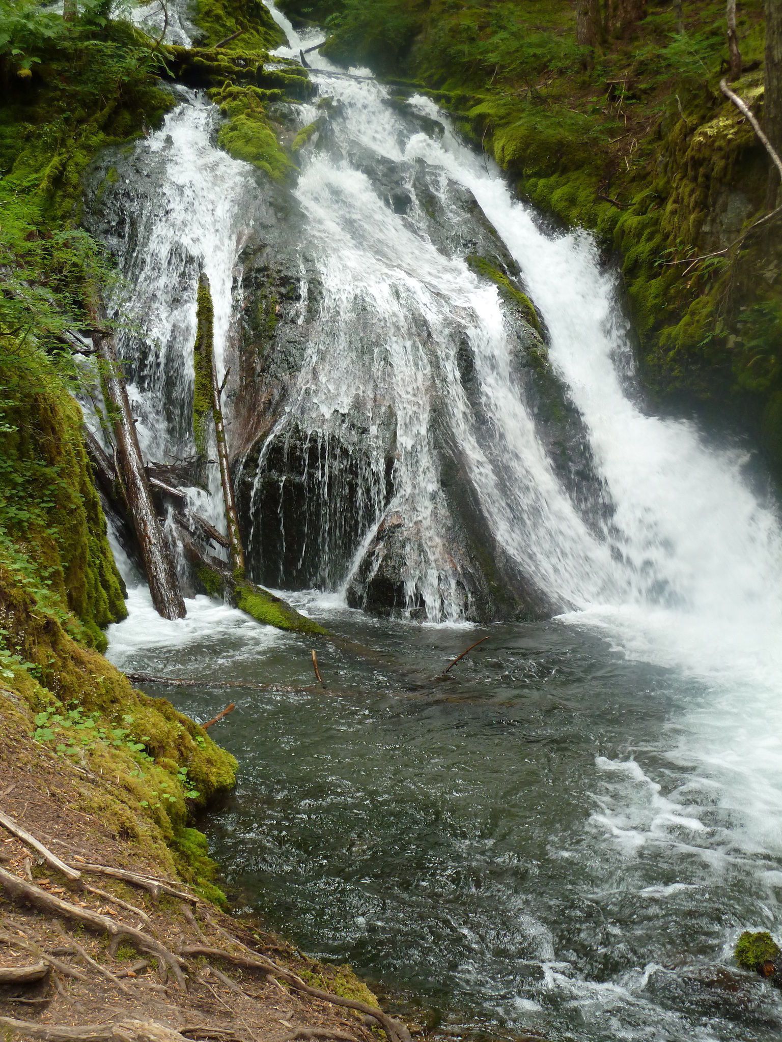 Little Zigzag Falls Trail is a 0.6 mile trail located near ...