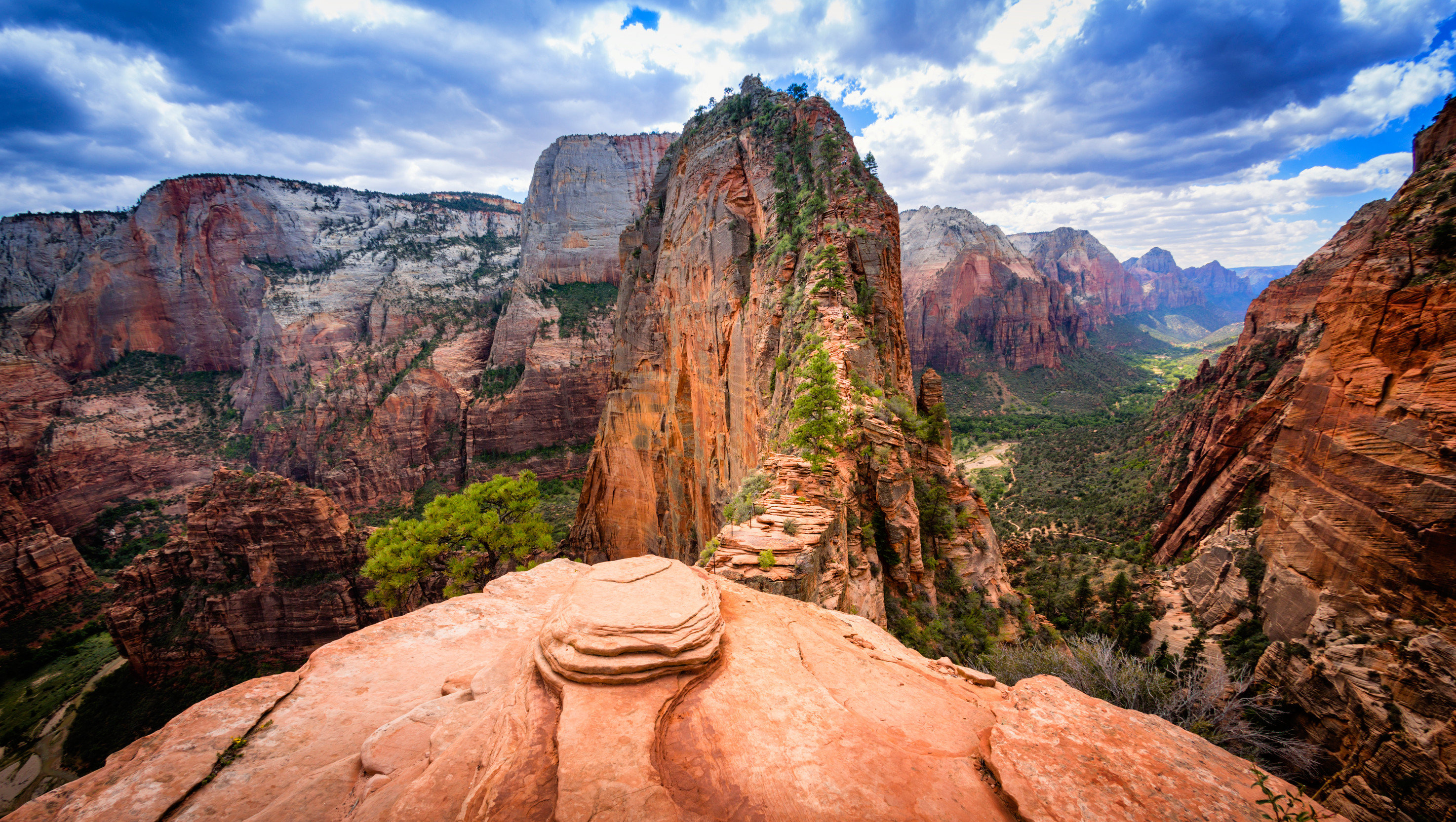 A Beginner's Guide to Hiking Zion National Park