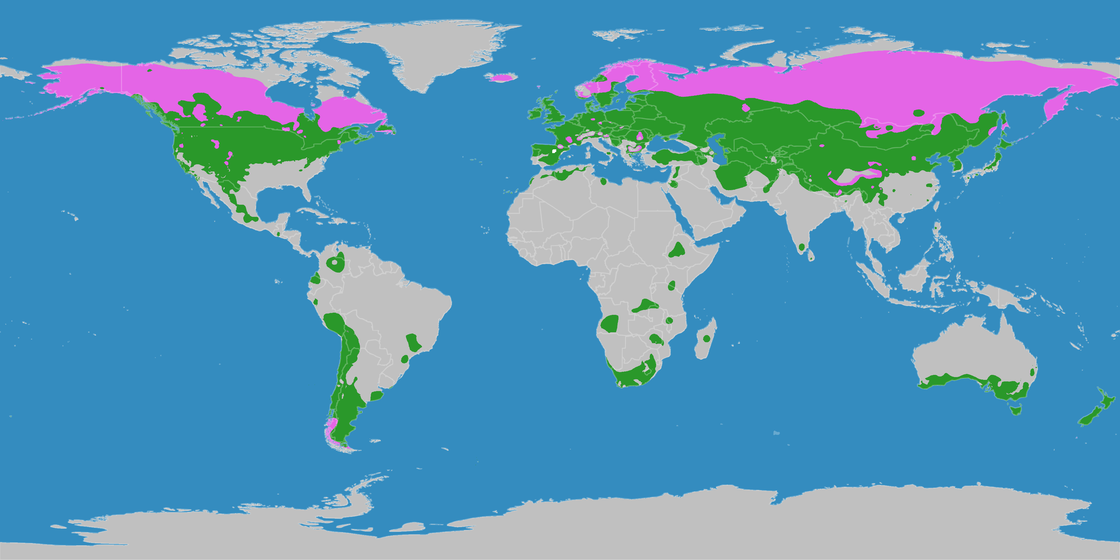 File:Klimagürtel-der-erde-gemäßigte-zone.png - Wikimedia Commons