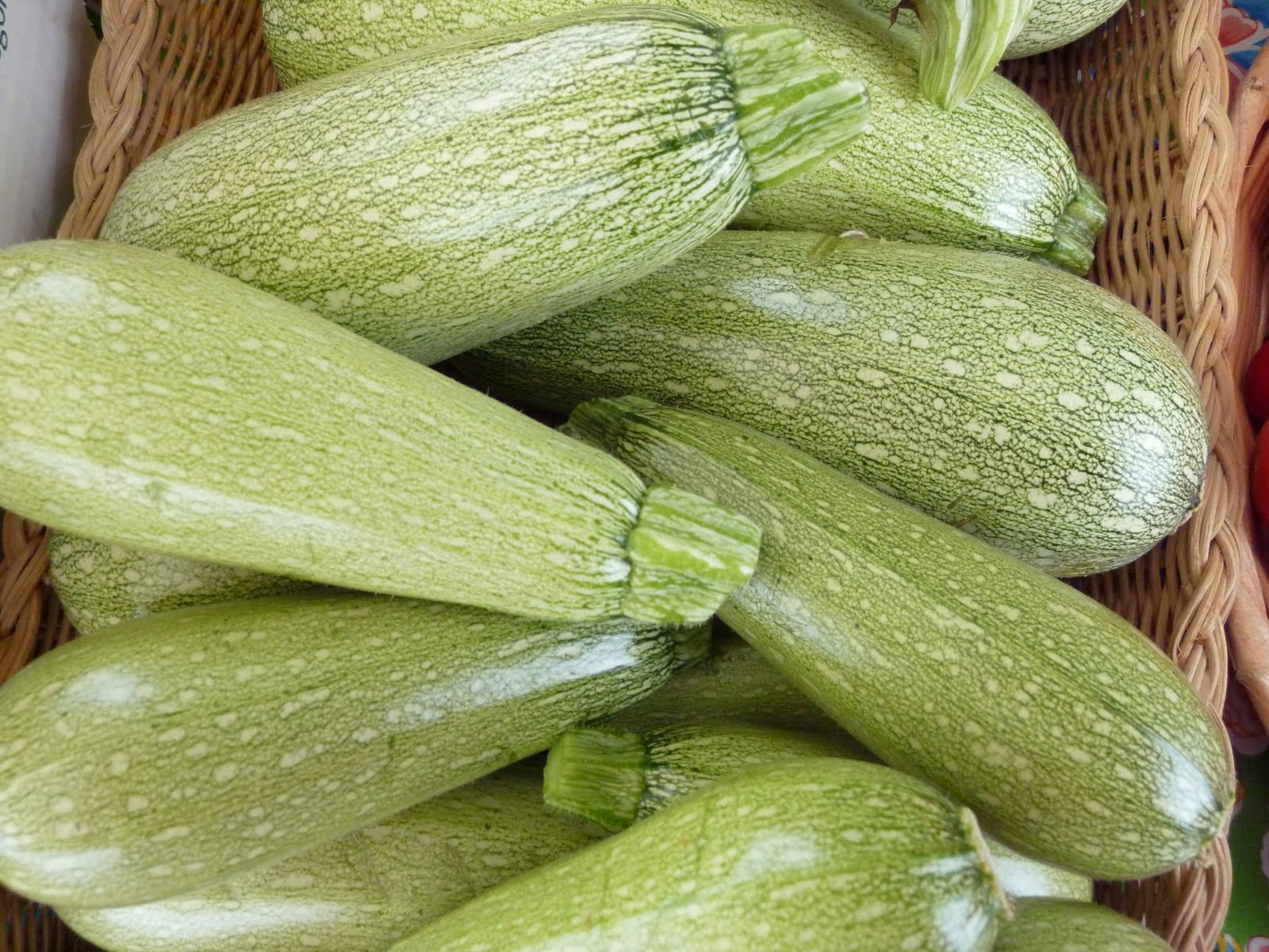 Zucchini squash photo