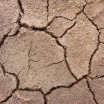 9 Free Textures of Cracked Soil, Dry Grass Soil and Sand | Artfans ...