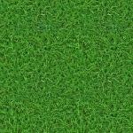 High Resolution Seamless Textures: (GRASS 2) seamless turf lawn ...