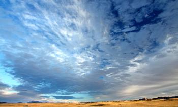 08p - SAN RAFAEL VALLEY GRASSLANDS, SE of Patagonia, santa cruz co, az (2-17-2017) -08b