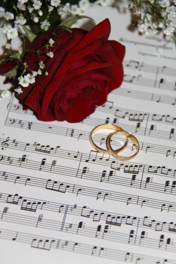 2 Gold Eternity Ring Near Red Rose on Musical Notes