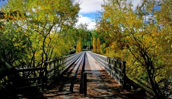 A autumn bridge.
