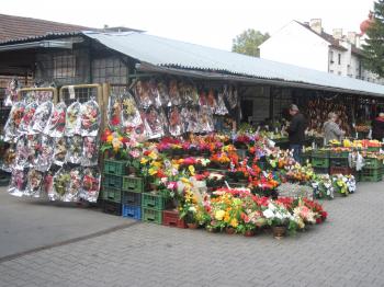 A flower shop