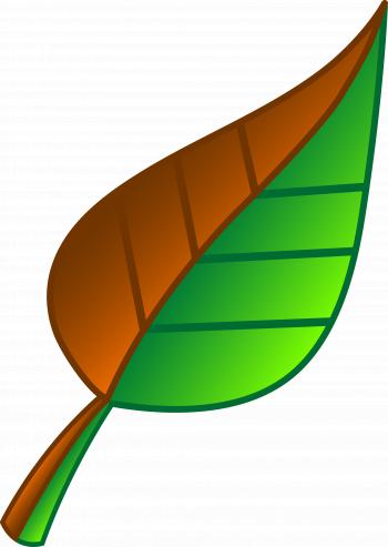 Brown and Green Leaf - Free Clip Art