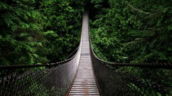 Lynn Canyon Suspension Bridge - Canada Wallpaper | Wallpaper Studio ...