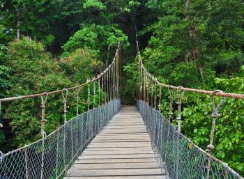 Nagbayto Hanging Bridge: A Revisit | DIALOGUE WITH A WANDERER