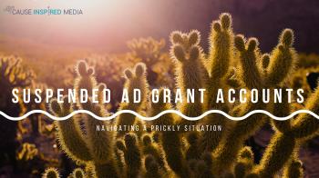 Cause Inspired Media Suspended Ad Grants: Navigating A Prickly ...