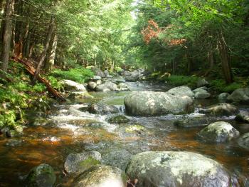 Trip East Part 2 – Adirondack Small Stream | Arizona Wanderings