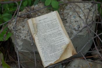 Abandoned Book