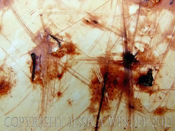 abstract patterns in rust | Photographic Salmagundi