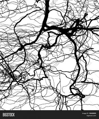 Abstract Tree Branch Fall Down Vector & Photo | Bigstock