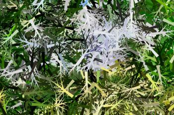 Abstract Tree Branch Background Free Stock Photo - Public Domain ...