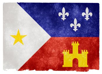 Acadiana Grunge Flag