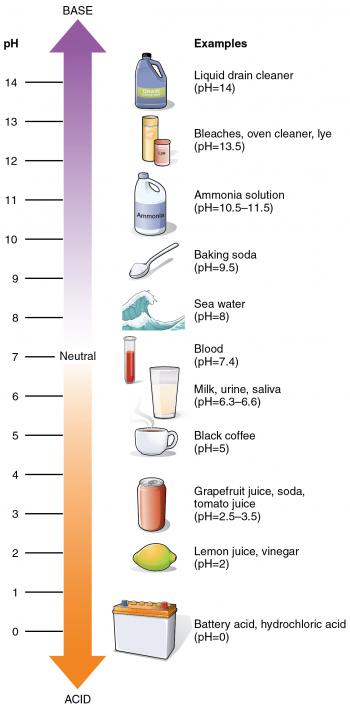pH - Wikipedia