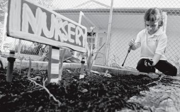Green projects earn green from city | Thousand Oaks Acorn
