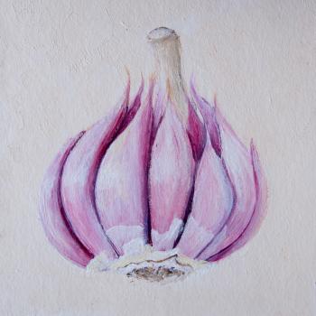 Acrylic painting of a garlic