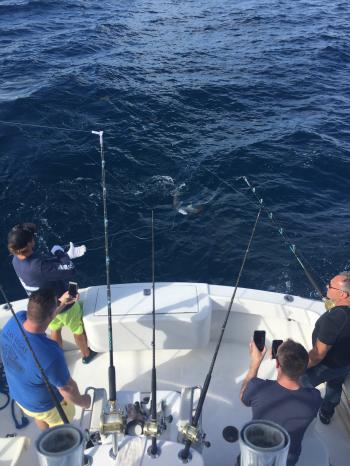 Great afternoon fishing on the Hooked Up