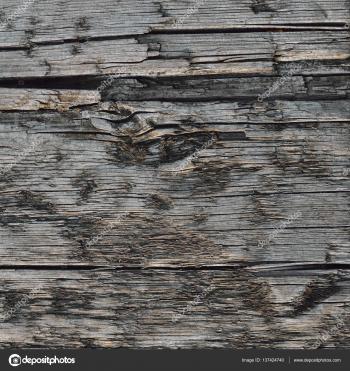 Natural Weathered Grey Tan Taupe Wooden Board, Cracked Ruined Rough ...