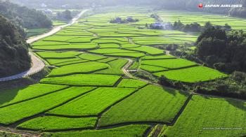 JAL - Oita - Tashibunosho Osaki Agricultural Landscape (wallpaper ...