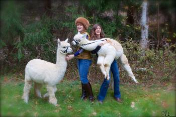 Lilymoore Alpaca Farm