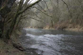 Alsea river in winter, Oregon