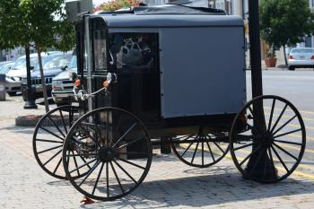 Amish Cart