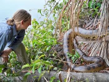 West of the Fields: Part III, in which we meet the giant anaconda