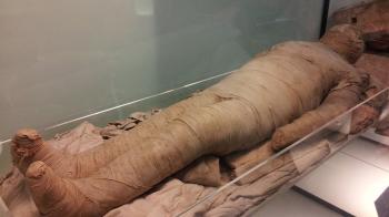 Mummies: Ancient burial chamber uncovered in Egypt; Modern pet ...