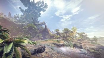 Ancient Forest | Monster Hunter Wiki | FANDOM powered by Wikia