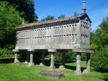 Aromatic forests & ancient routes | The travelling vegan