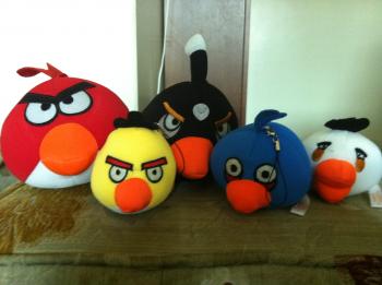 Angry bird group
