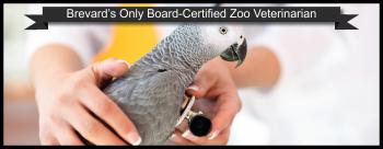 Animal Emergency and Critical Care Center of Brevard – Veterinary ...